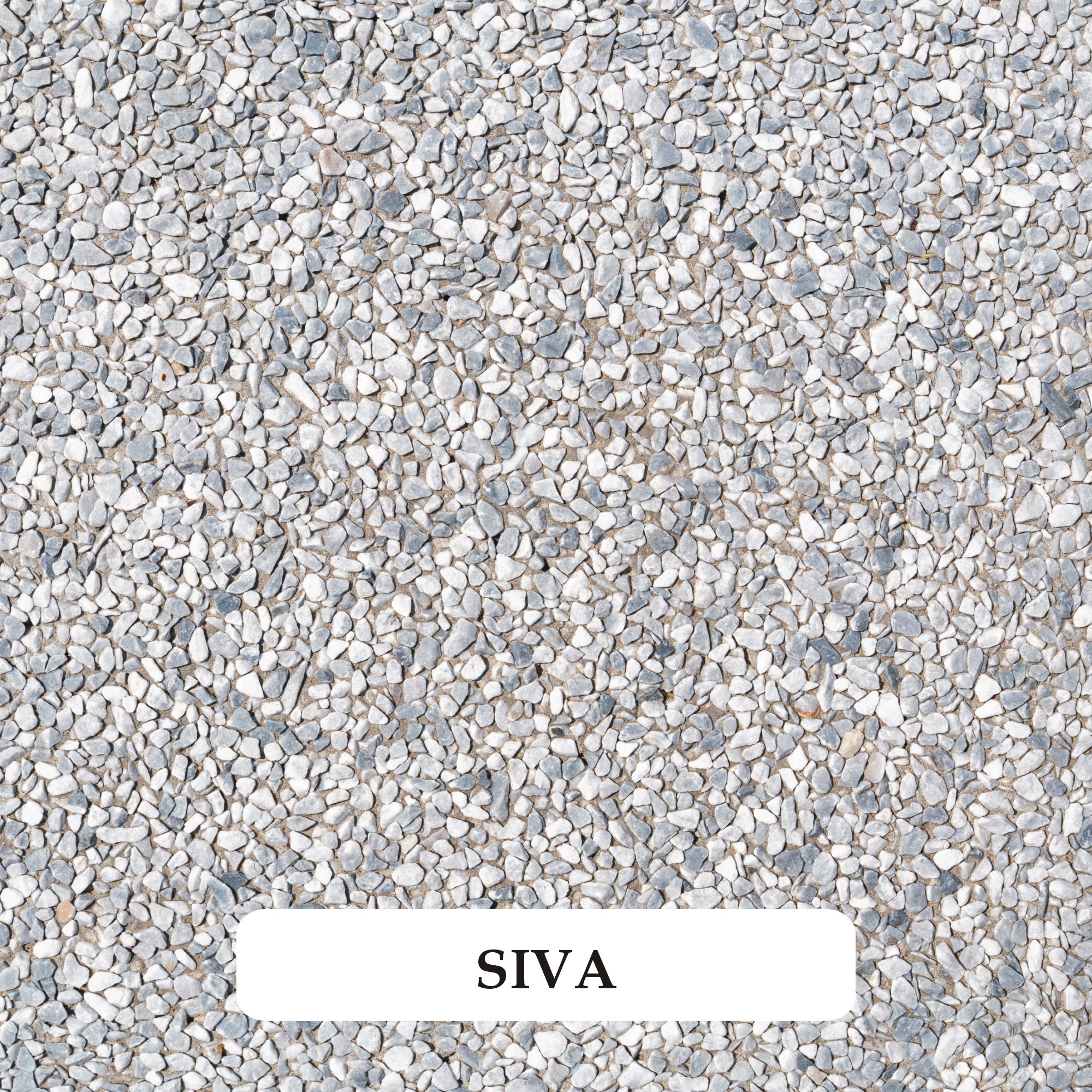 Siva